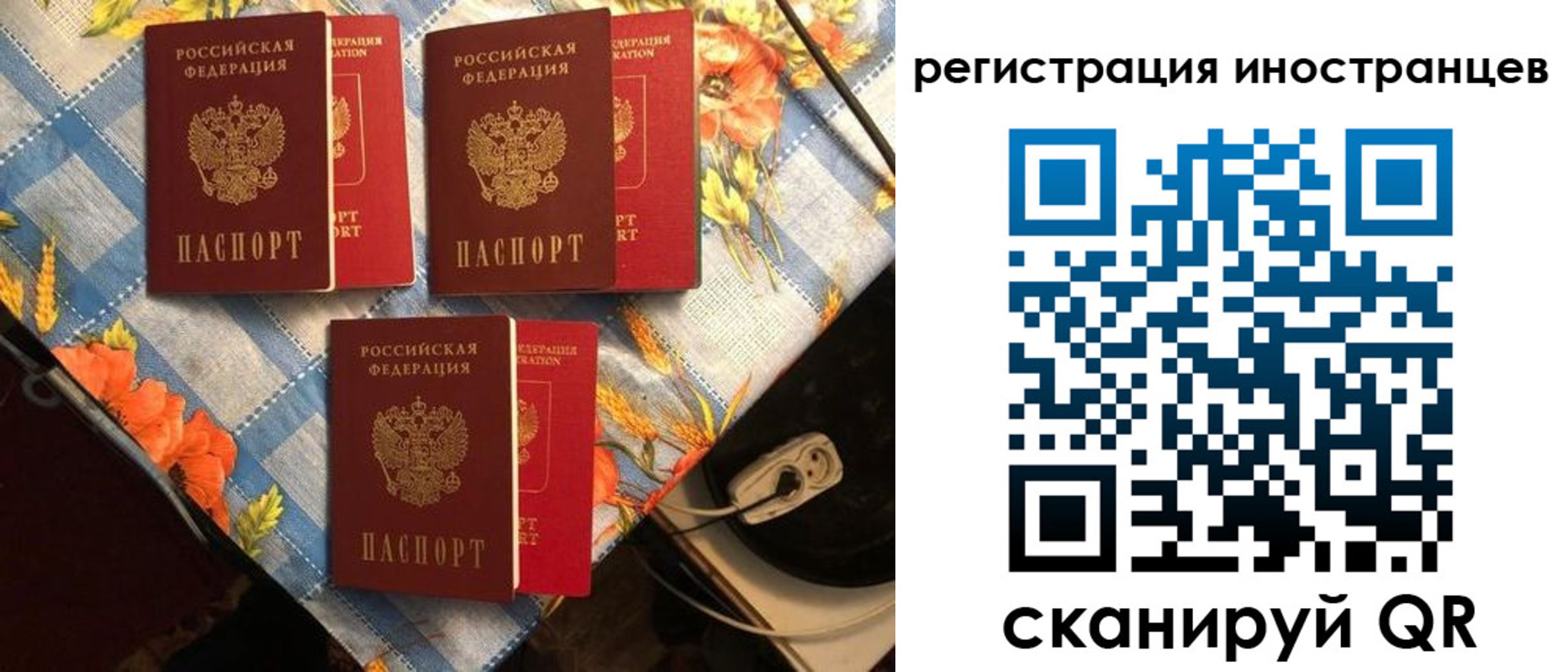 прописка поиск в Тереке